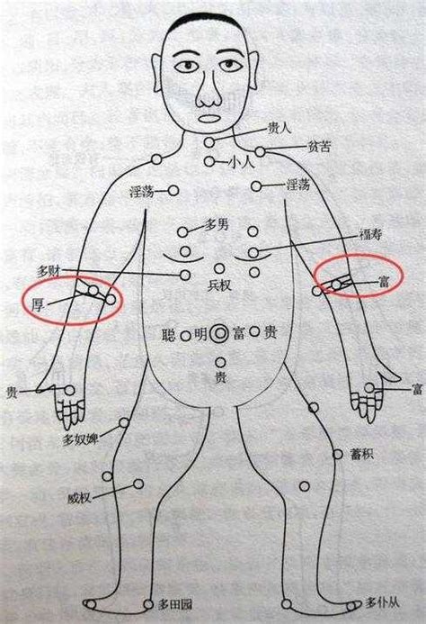 小手臂內側有痣|從手上的痣看你的好運在哪？上手臂有痣善於察言觀色。